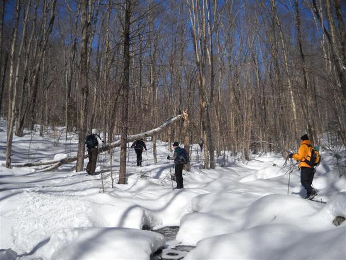 Frozen Stream Crossing