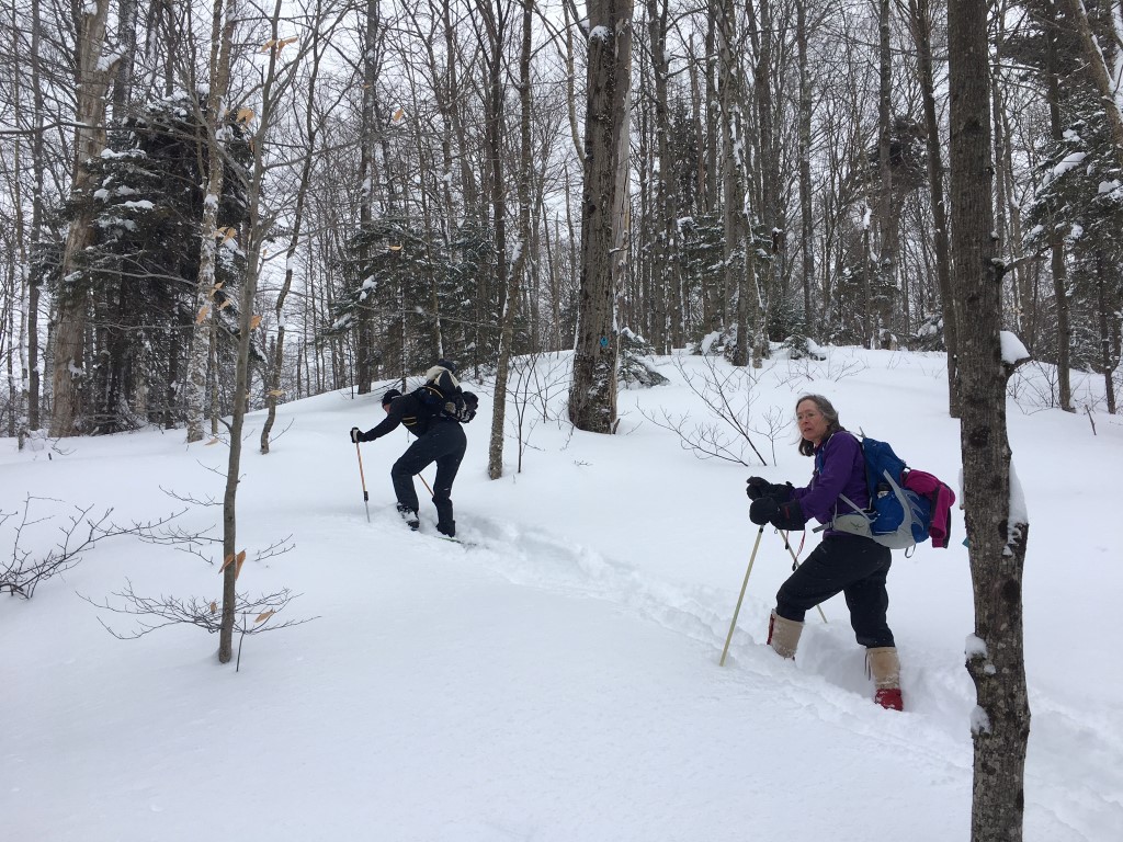 Southern Week Long Tour