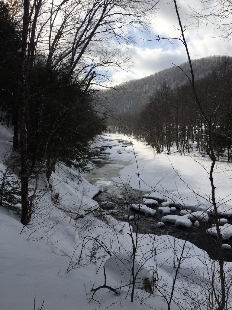 Southern Week Long Tour