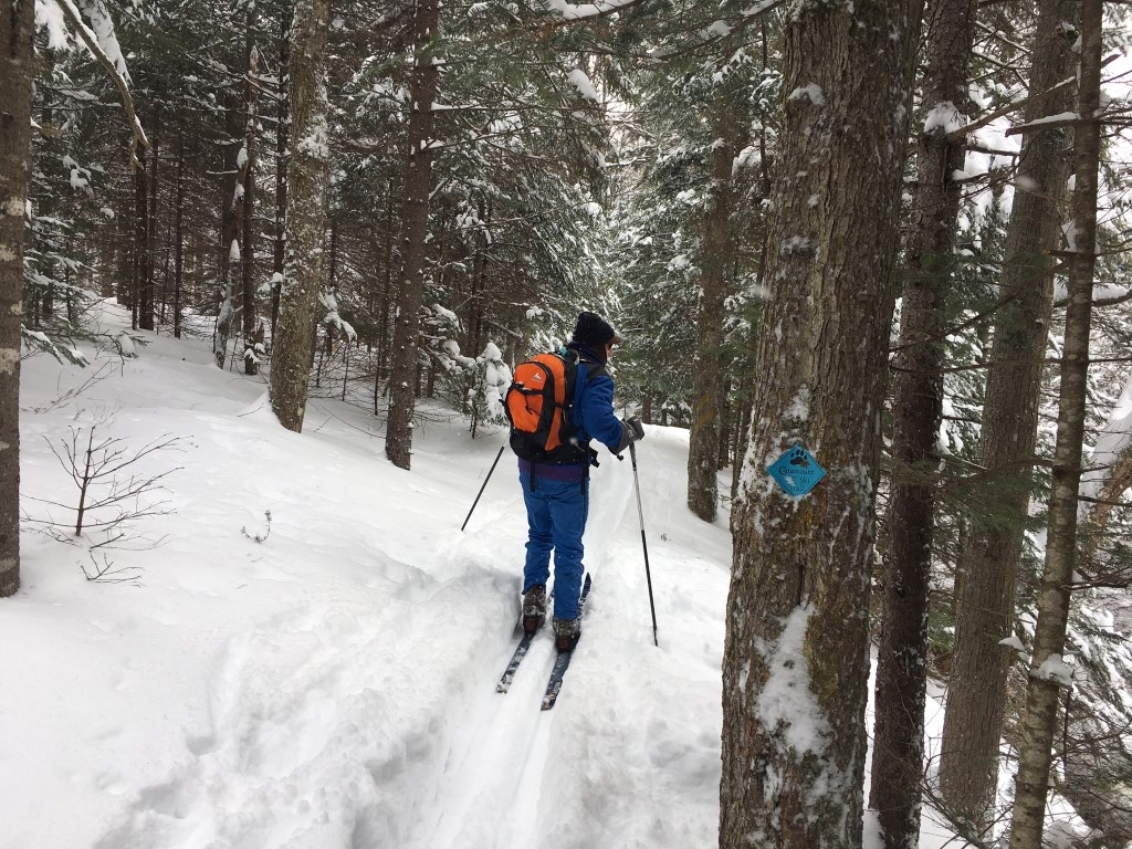 Southern Week Long Tour