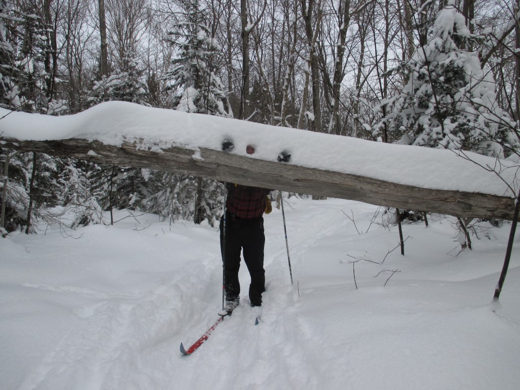 Southern Week Long Tour