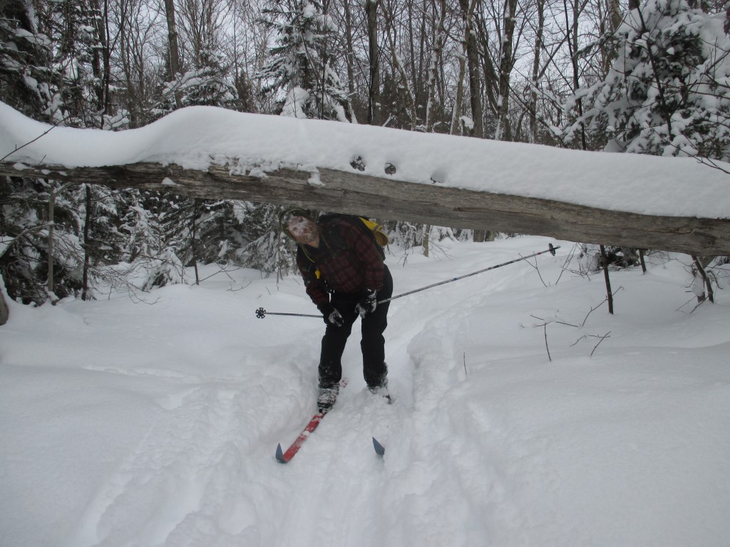 Southern Week Long Tour