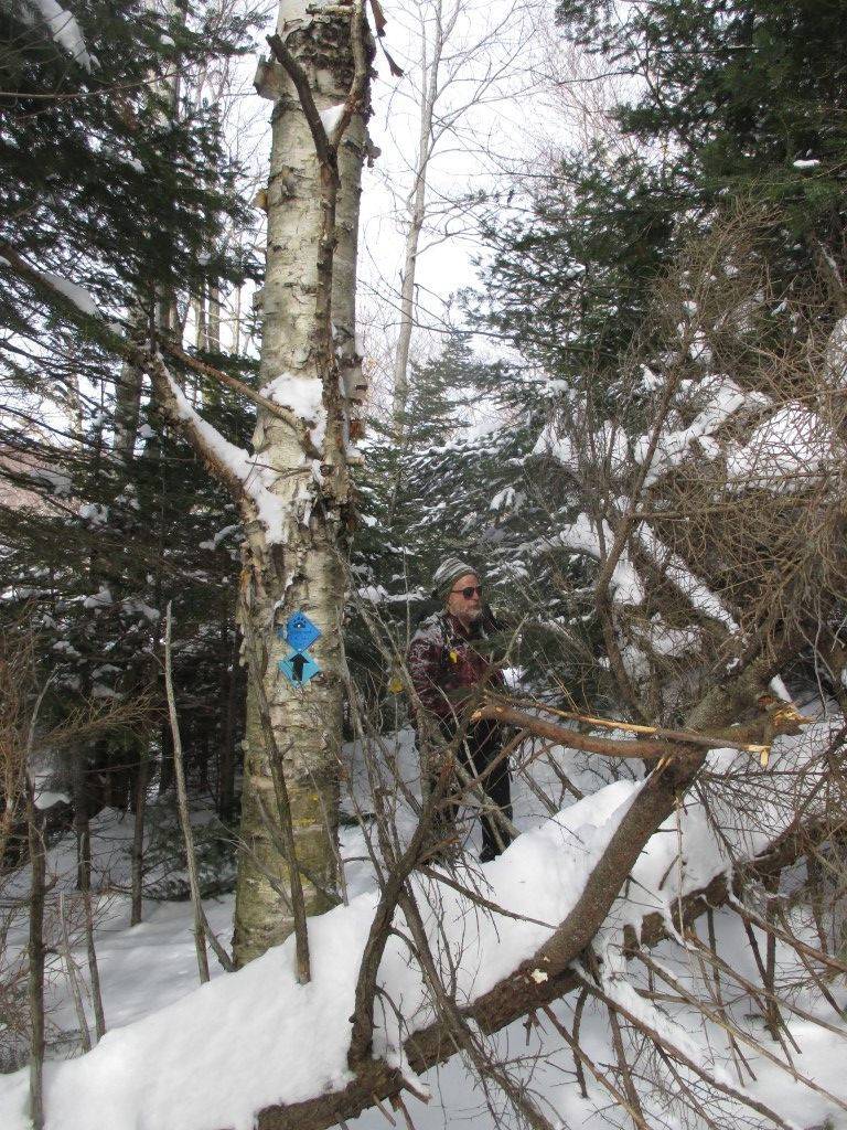 Southern Week Long Tour