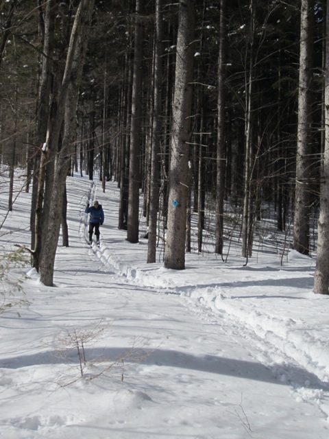 Southern Week Long Tour