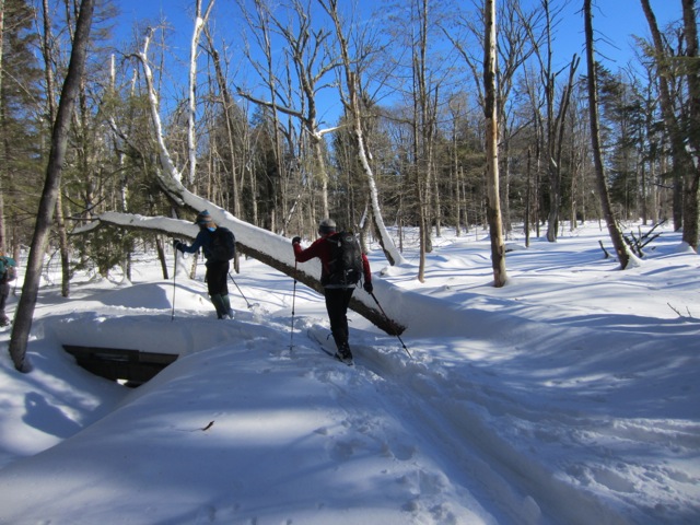 Southern Week Long Tour