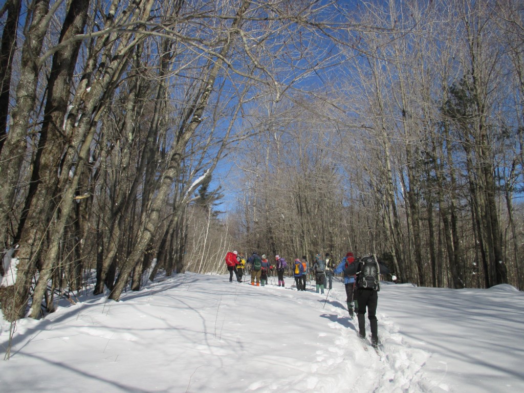 Southern Week Long Tour