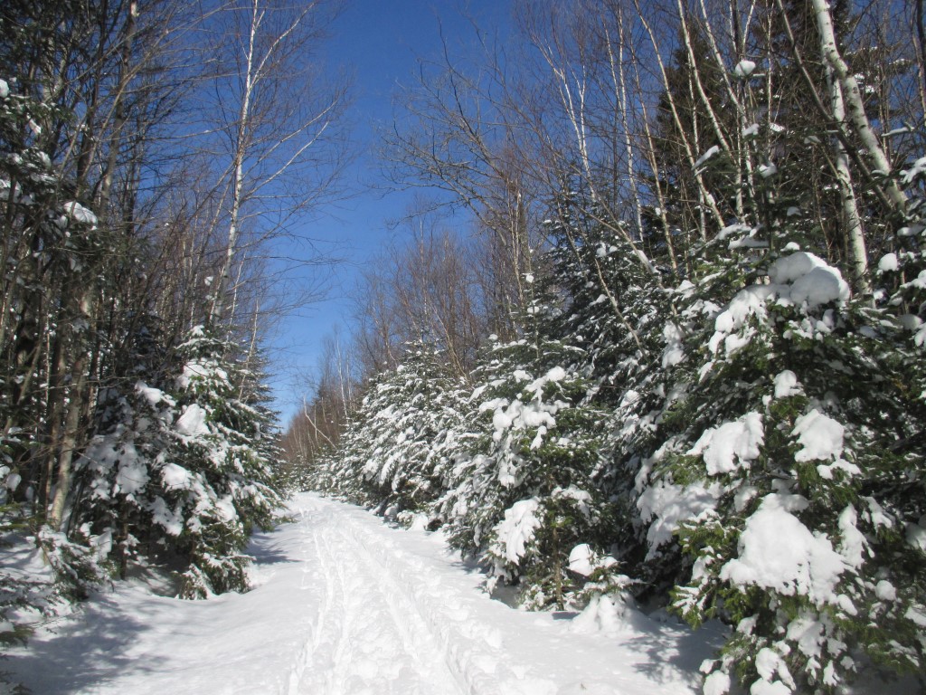 Southern Week Long Tour