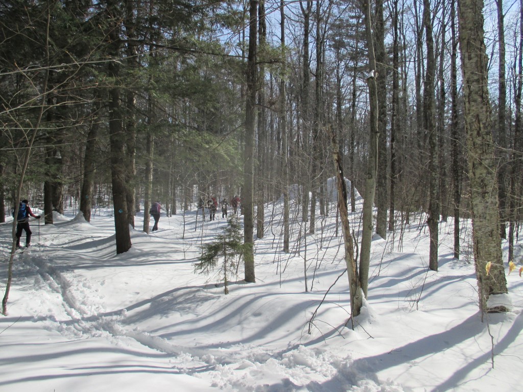 Southern Week Long Tour