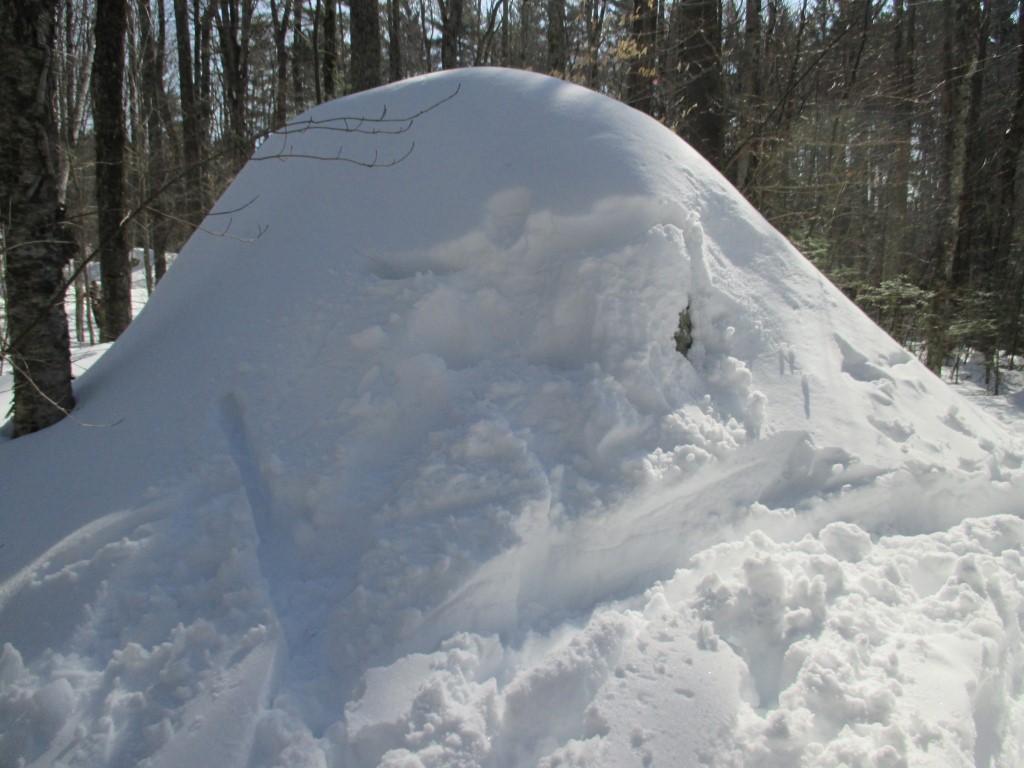 Southern Week Long Tour