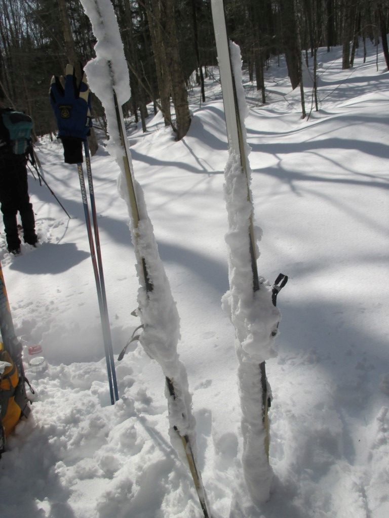 Southern Week Long Tour