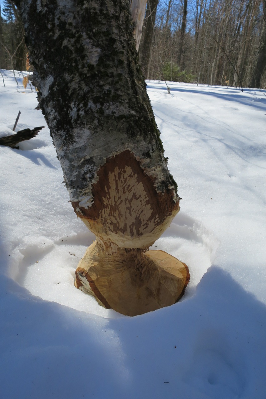 Southern Week Long Tour