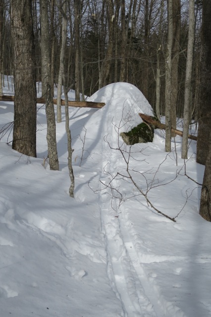 Southern Week Long Tour